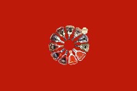 抚顺新宾回收红酒